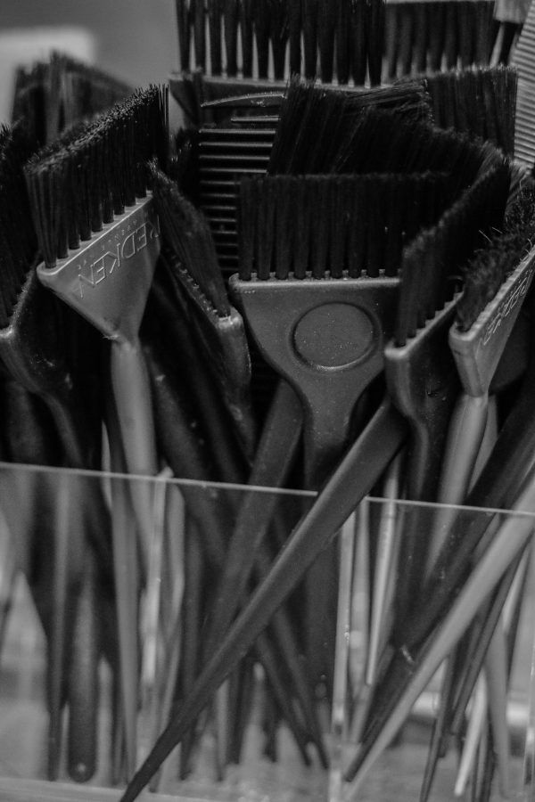 Must-Have Brush for Coloring Hair